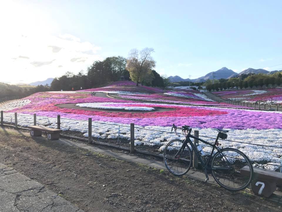 (ルート紹介)榛名の芝桜公園にサイクリング。