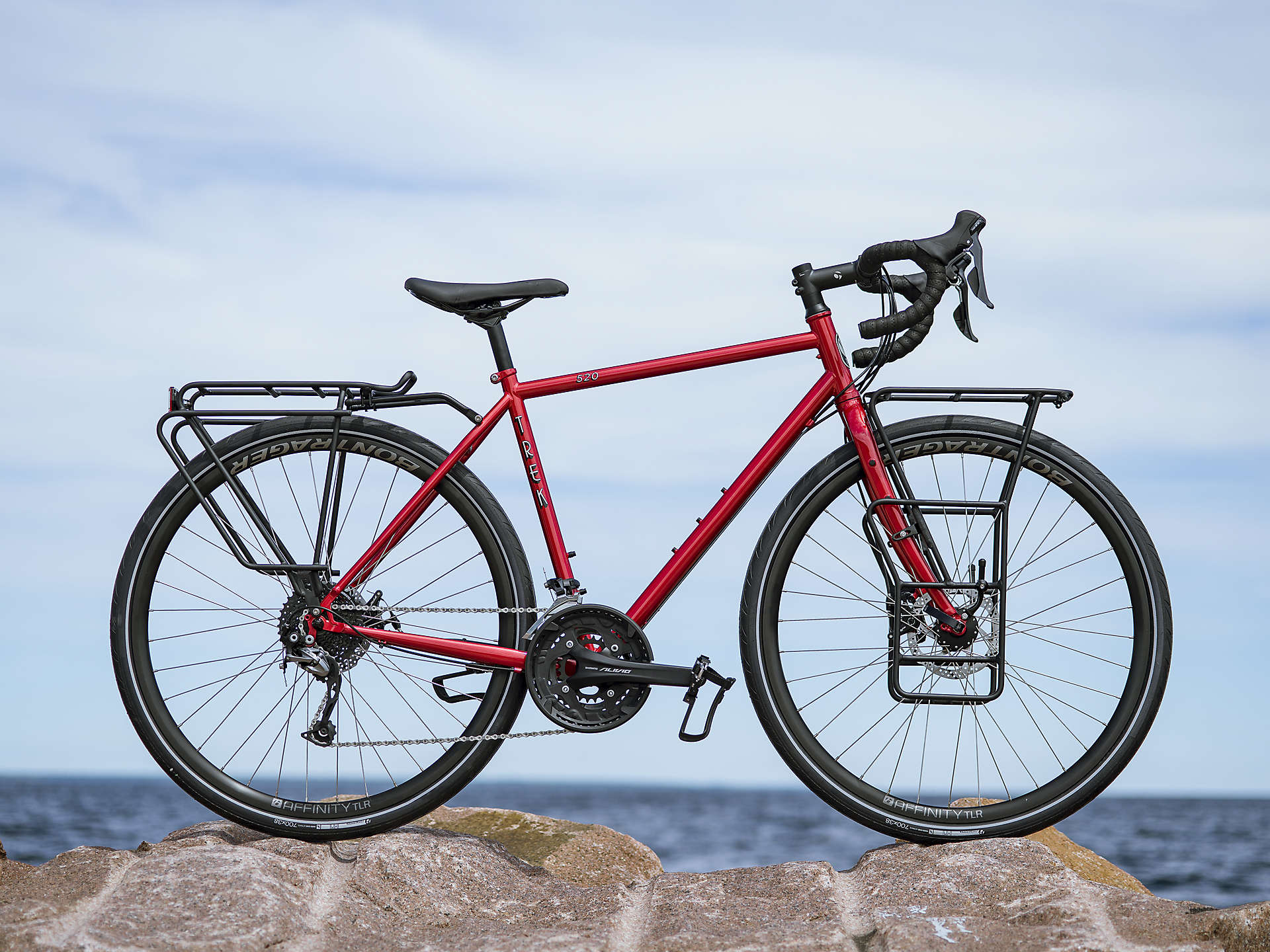 trek dual bike